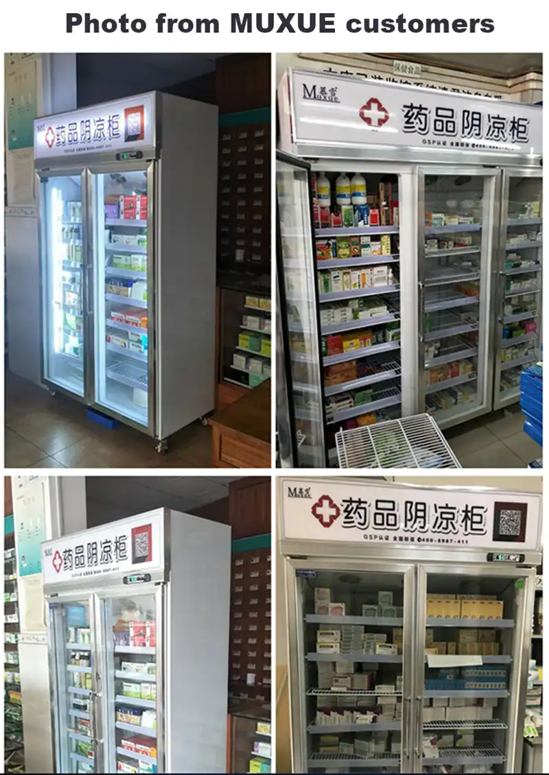 Double Doors Medical Refrigerators, Pharmacy Refrigerator, Upright Glass Door, Energy-Saving, Temperature Control 3 Double Doors Medical Refrigerators, Pharmacy Refrigerator, Upright Glass Door, Energy-Saving, Temperature Control - Image 3
