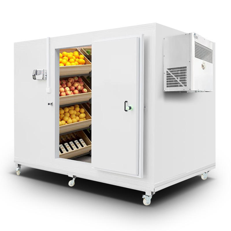 Commercial Walk-in Cold Storage Room Selection and Energy Saving Guide